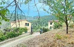 Vinci, Tuscany 50059