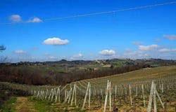 Firenze, Tuscany