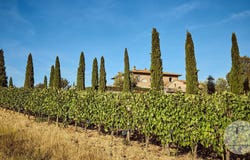Montepulciano, Tuscany 53045