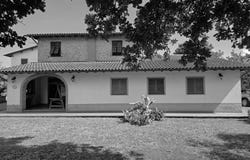 Capannori, Tuscany 55010