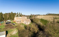 Torrita di Siena, Tuscany 53049
