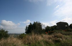 Sarteano, Tuscany 53047