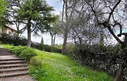 Paperino, Tuscany 59100