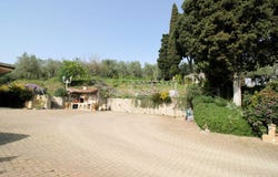 Massarosa, Tuscany 55054