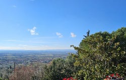 Arezzo, Tuscany 52100