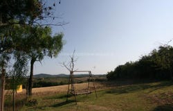 Pienza, Tuscany 53026