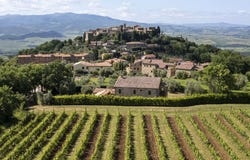 Montalcino, Tuscany 53024