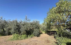 Campagnatico, Tuscany 58042