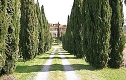 Montespertoli, Tuscany 50025