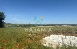 Strada Provinciale Amiatina, 7, Magliano in Toscana, Tuscany 58051