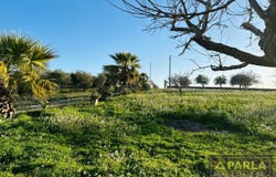 Noto, Noto, Sicily 96017