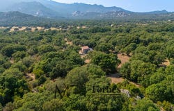 Calangianus, Sardinia 07023