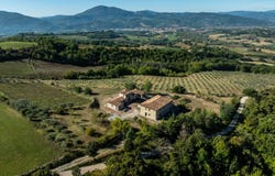 Umbertide, Umbria 06019