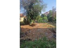 Guazzino, Tuscany 53048