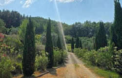 Allerona, Umbria 05011