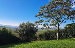 Siena, Tuscany 53100
