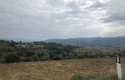Torgiano, Umbria 06089