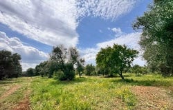Carovigno, Apulia 72012