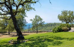 Gaiole in Chianti, Tuscany 53013