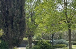 Florence, Tuscany 50124