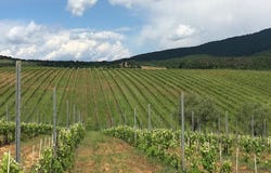 Monteleone d'Orvieto, Umbria 05017