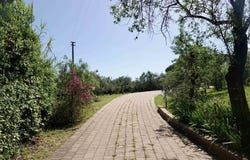 Rosignano Marittimo, Tuscany 57016