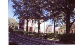 Montefollonico, Tuscany 53049