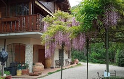 Castel Rigone, Umbria 06065