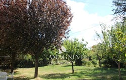 Sarteano, Tuscany 53047