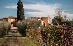 Montepulciano, Toscana|Tuscany 53045