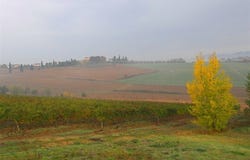 Arezzo, Tuscany 52100