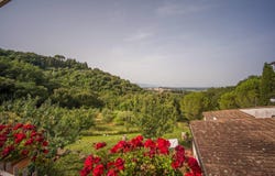 Collesalvetti, Tuscany 57014