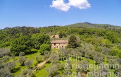 Figline Valdarno, Tuscany 50063
