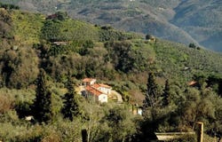 Pescia, Tuscany 51017