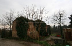 Bettolle, Tuscany 53048