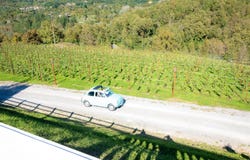 Camporgiano, Tuscany 55031