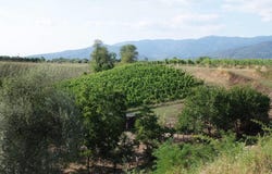 Loro Ciuffenna, Tuscany 52024
