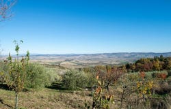 Castiglione d'Orcia, Tuscany 53023