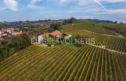 La Morra, The Piedmont 12064