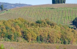 Vinci, Tuscany 50059