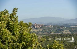 Strada Provinciale dei Renelli, Trequanda, Toscana|Tuscany 53020