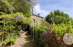 Cetona, Tuscany 53040