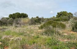 Puglia, Apulia 73040
