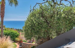 Stellanello, Liguria 17020