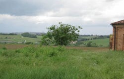 Siena, Tuscany 53100