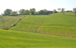 Scansano, Tuscany 58054
