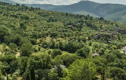 Cortona, Tuscany 52044