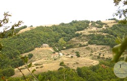 Piegaro, Umbria 06066
