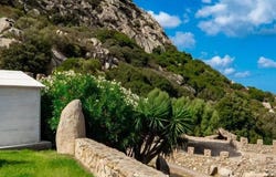Olbia, Sardinia 07026