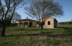 Rigomagno, Tuscany 53048